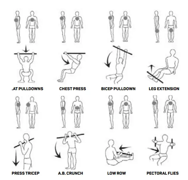 FITFIU GYM-300 Multi Station Home Gym - Figure 13