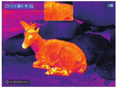 InfiRay FL35R Finder ǁ Thermal Imaging Monocular - 13