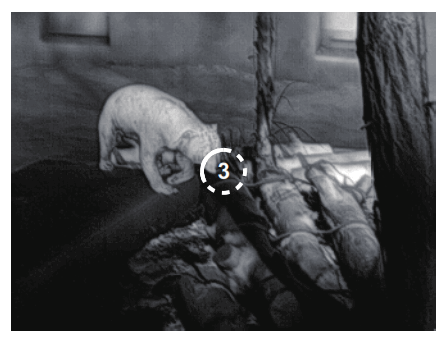 InfiRay FL35R Finder ǁ Thermal Imaging Monocular - 6