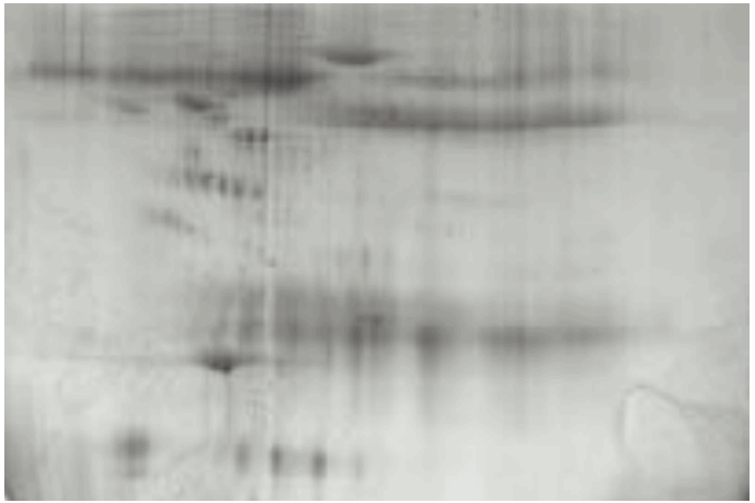 FUJIFILM FLA 5OOO Fluorescent Image Analyzer - 3