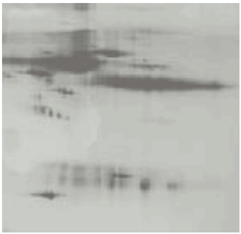 FUJIFILM FLA 5OOO Fluorescent Image Analyzer - 4