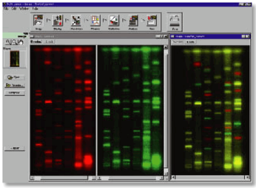FUJIFILM FLA 5OOO Fluorescent Image Analyzer - Multi Gauge