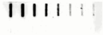 FUJIFILM FLA 5OOO Fluorescent Image Analyzer - same sample is detected