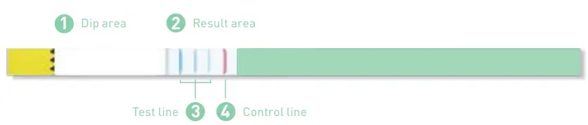 Structure of dipstick