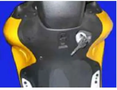 ZEV 1618384857 Electric Motor Scooter and Motorcycle -intrusion