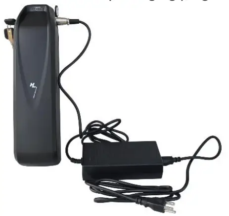 DJ Bikes Mid Drive Fat Bike - Fig 1