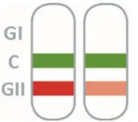 PRAXISDIENST 920006N-10 NADAL Norovirus GI-GII Test - fig 6