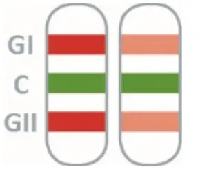 PRAXISDIENST 920006N-10 NADAL Norovirus GI-GII Test - fig 7
