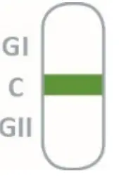 PRAXISDIENST 920006N-10 NADAL Norovirus GI-GII Test - fig 8
