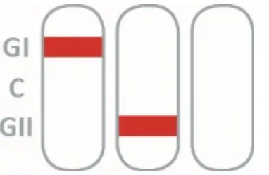 PRAXISDIENST 920006N-10 NADAL Norovirus GI-GII Test - fig 9