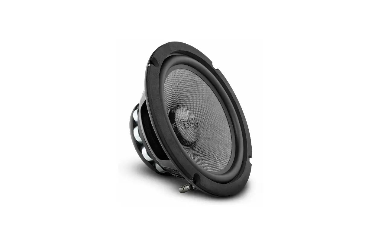 Ds18 Pro-ry8.4nmb 8 Inch Carbon Fiber Mid Bass Water Resistant Woofer Neod Owner's Manual