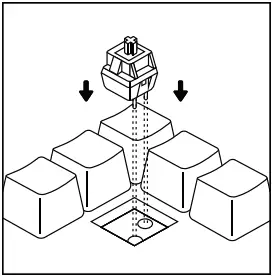 GLORIOUS GMMK BRN V2 Modular Mechanical Gaming Keyboard - Insert Switch