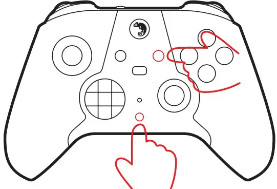 Features and Functions