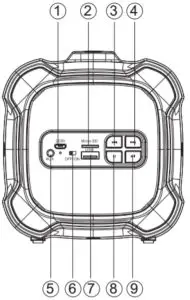 Appearance and Key Features