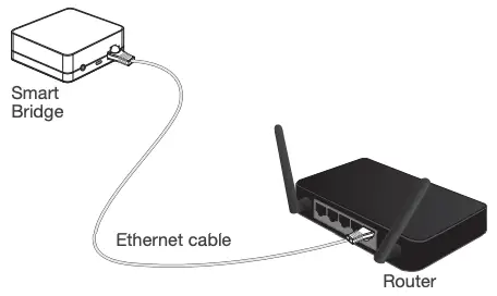Connect the Smart Bridge
