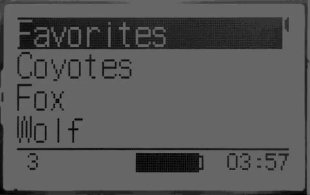 Primary Display Area