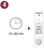 GenBody COVID-19 Ag Rapid Diagnostic - Test Procedure 4