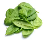 DASH D DEC012 Deluxe Egg Cooker - spinach