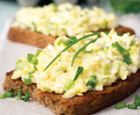 DASH D DEC012 Deluxe Egg Cooker - tomato