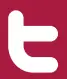 Twitter Icon