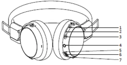Premium Surge Promotions 3FWHSXAX Alice Olivia Headphones 1