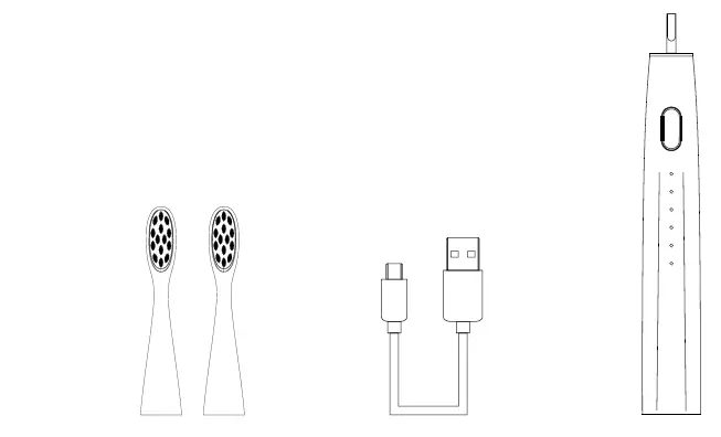 niceboy 43000 ION SmartSonic Toothbrush fig 1