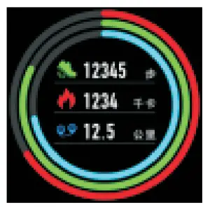 Step/distance/calorie
