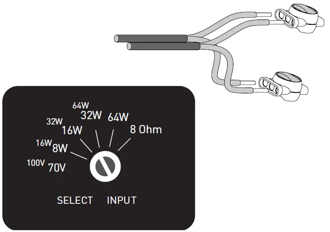 Leon-TrLS50-Spike-Terra-Luminsound-fig-4