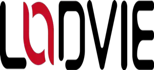 LODVIE Wireless Mouse for Laptop,2400 DPI Wireless Computer Mouse with 6 Buttons,2.4G Ergonomic USB Cordless Mouse,15 Months Battery Life Mouse for Laptop PC Mac Computer Chromebook MacBook-Black : Amazon.ca: Electronics