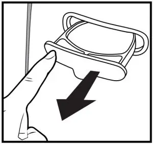 ADDING ESSENTIAL OILS