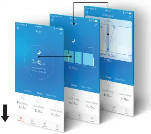 Navigating the App Screen