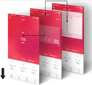 Navigating the App Screen