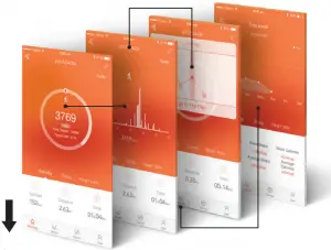 Navigating the App Screen