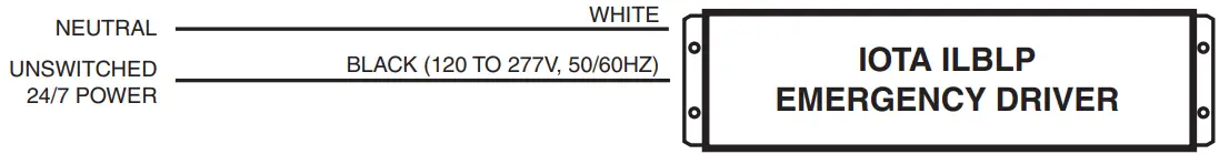 IOTA ILBLP CP HE SD HV Emergency LED Driver - must be grounded