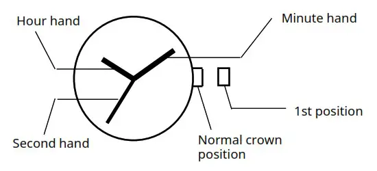 MIYOTA Cal 2037 Watch Movement - DISPLAY