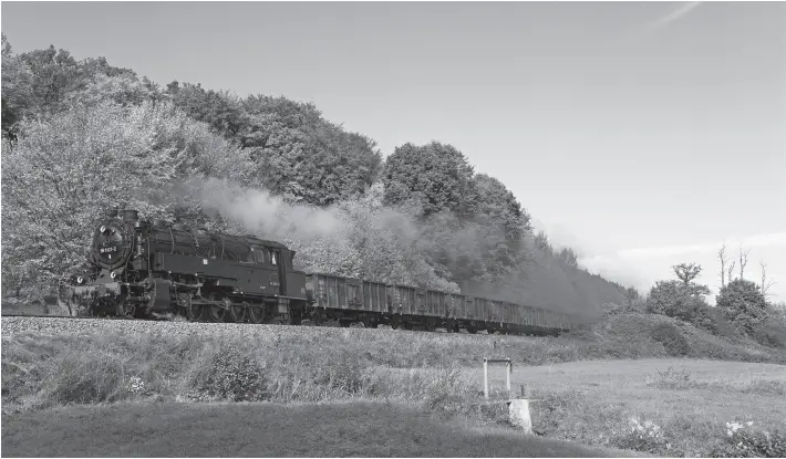 Roco-BR-95-Steam-Locomotive-Train-FIG-18