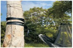 Product Instructions