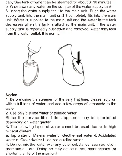 Queenwill B03 Facial Steamer fig 4