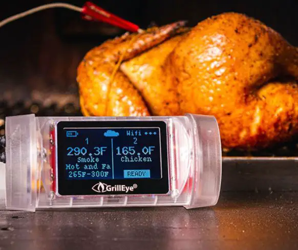 Ge0006 Grilleye Max Instant And Ultra Precise User Guide