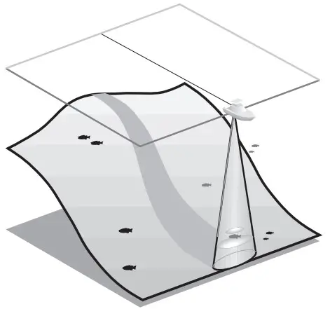 HUMMINBIRD TFX128 Fish Finder - SONAR WORKS