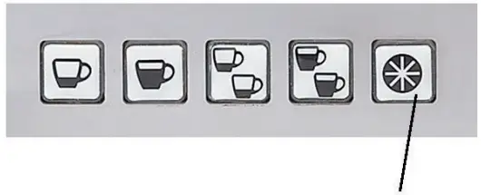 ECM 84644 Electronica Profi Duo 2Group Coffee Machine - button