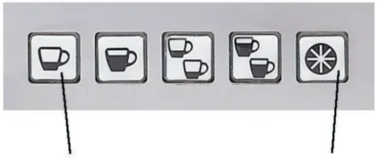 ECM 84644 Electronica Profi Duo 2Group Coffee Machine - filter holder