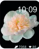 VIETA PRO MVR04Beat 4 Smartwatch - figure 10