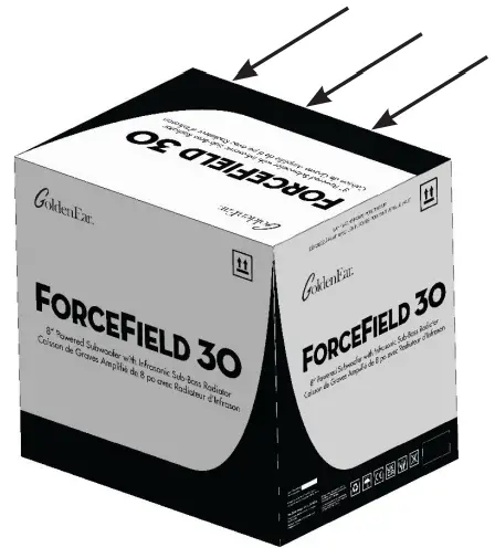 GoldenEar Force Field Powered Subwoofers - Carefully