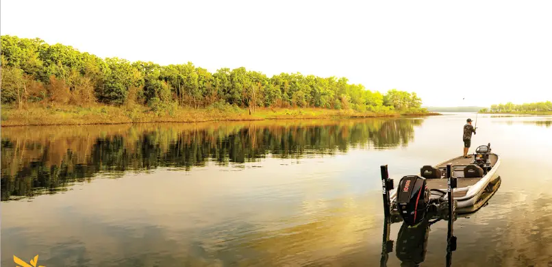 HUMMINBIRD Lakemaster - fig1