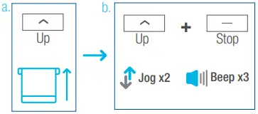 AMP35B DC Tubular Motor B03.1
