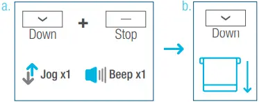 AMP35B DC Tubular Motor B04.2ab