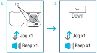 AMP35B DC Tubular Motor B08.2ab