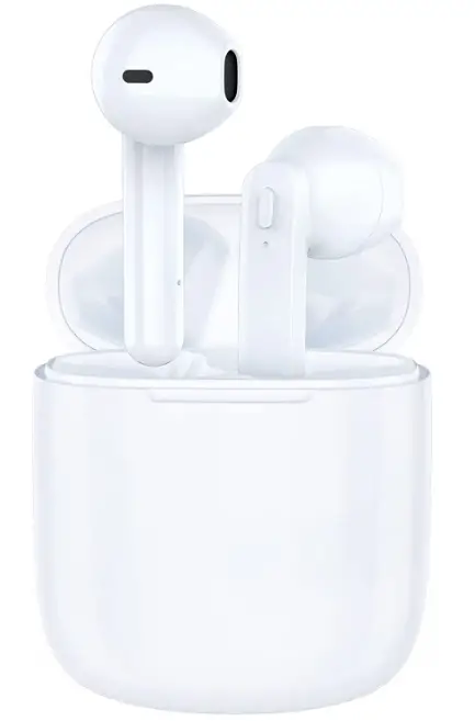 REEHM-T12-True-Wireless-Earbuds-Product