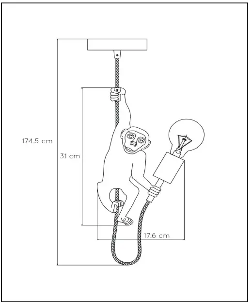 LUCiDE 10402 Extravaganza Chimp Pendant Lamp-FIG6